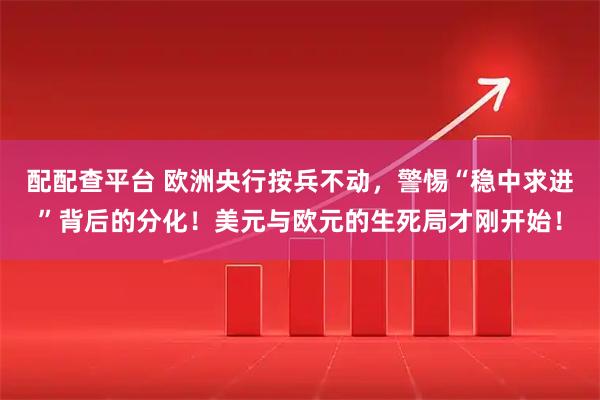 配配查平台 欧洲央行按兵不动，警惕“稳中求进”背后的分化！美元与欧元的生死局才刚开始！