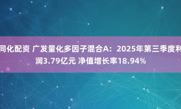 同化配资 广发量化多因子混合A：2025年第三季度利润3.79亿元 净值增长率18.94%