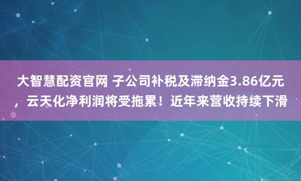 大智慧配资官网 子公司补税及滞纳金3.86亿元，云天化净利润将受拖累！近年来营收持续下滑